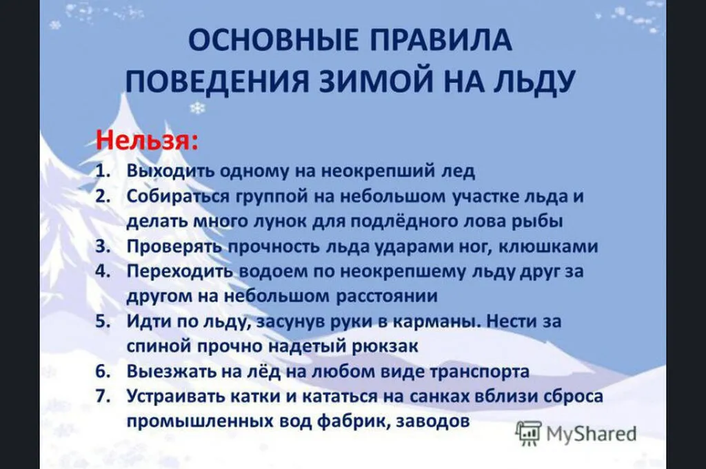 194_slide_20-1
