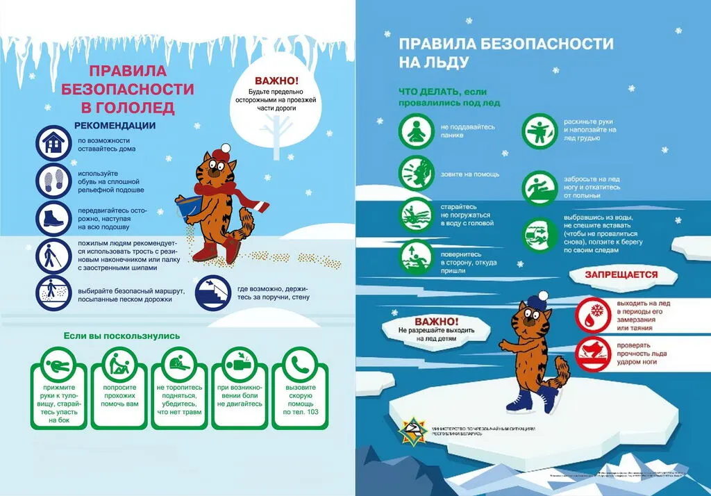 изображение_viber_2024-12-13_08-57-32-916