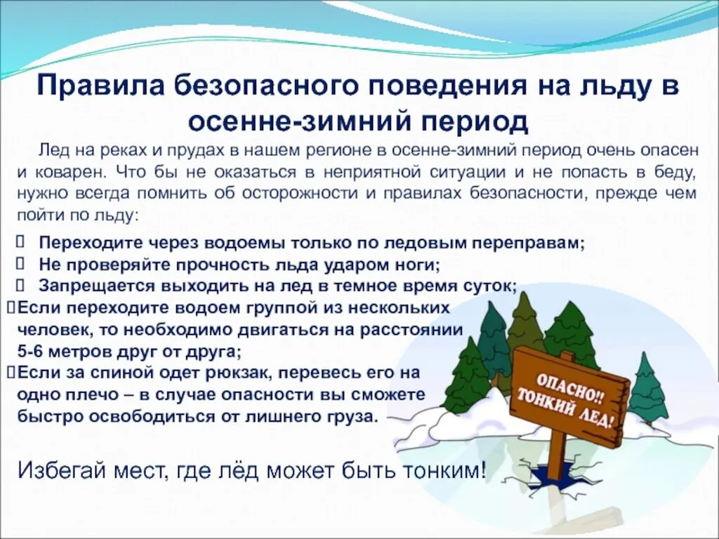 9c02dd2d30ccd73a092e6bf29f57cc6a-800x