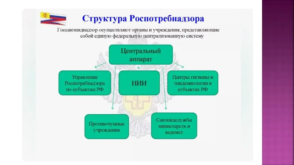 Слайд4
