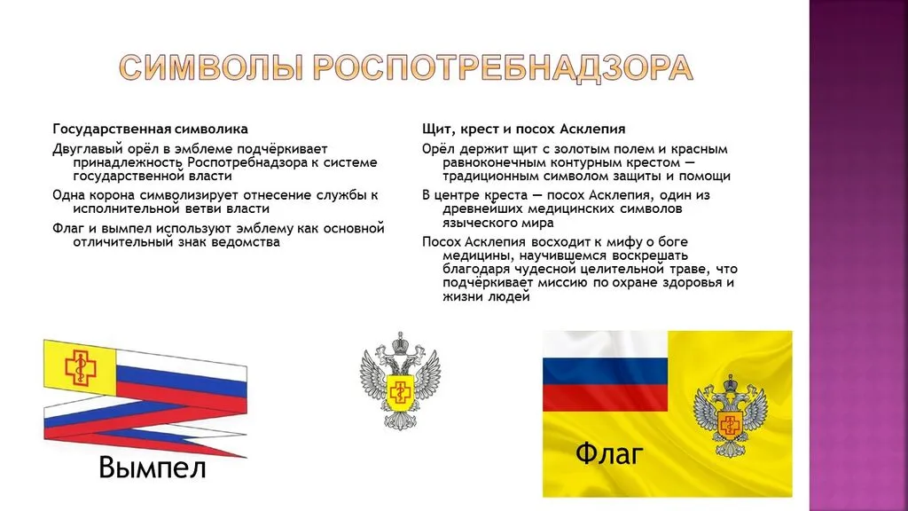 Слайд5